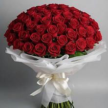 Букет 101 Красная роза Блэк Мэджик в Эвенске