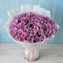 Букет цветов из:  Хризантемы в Эвенске