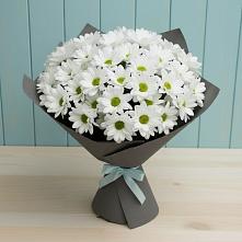 Букет цветов из:  Хризантемы #REPLACE_PRED# Эвенске