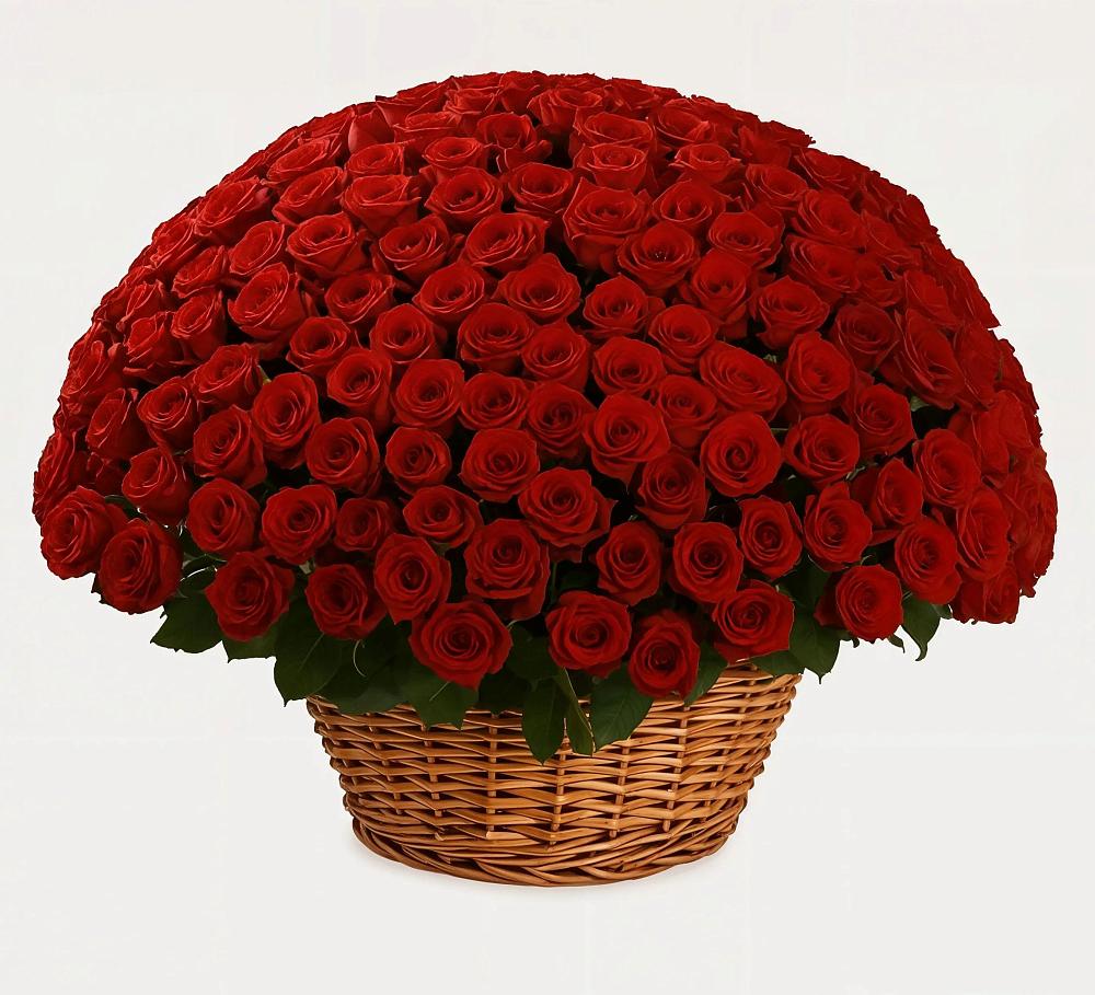 Премиум букет из: Розы в Эвенске