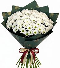 Букет цветов из:  Хризантемы в Эвенске