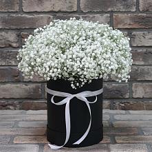 Цветочная композиция из Гипсофила в шляпной коробке в Эвенске