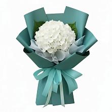 Букет цветов из:  Гортензия в Эвенске